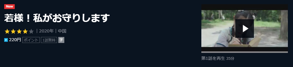 若様！私がお守りします　中国ドラマ